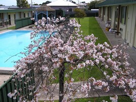 Detalle del exterior