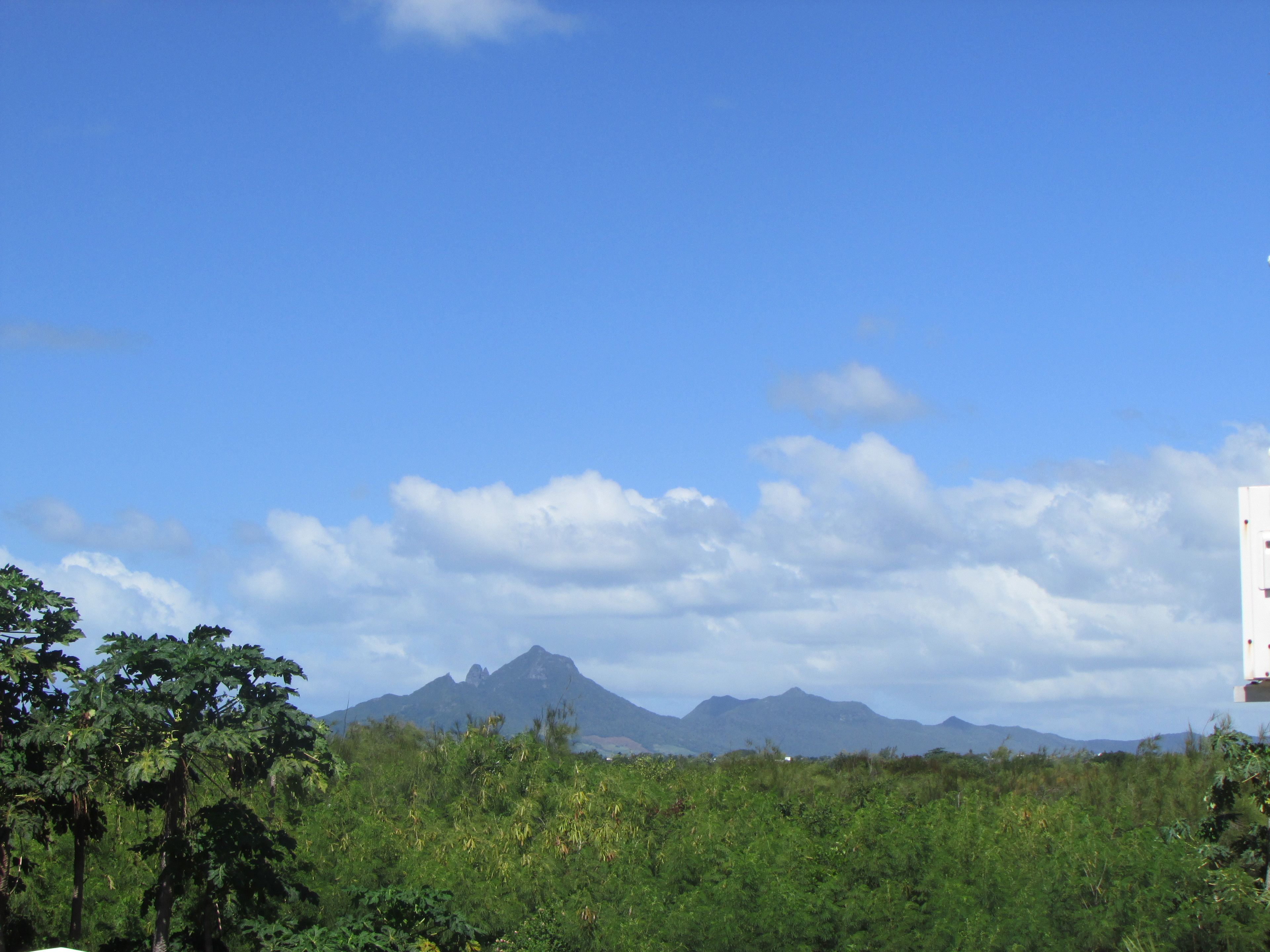 Foto - Golden Rod villa