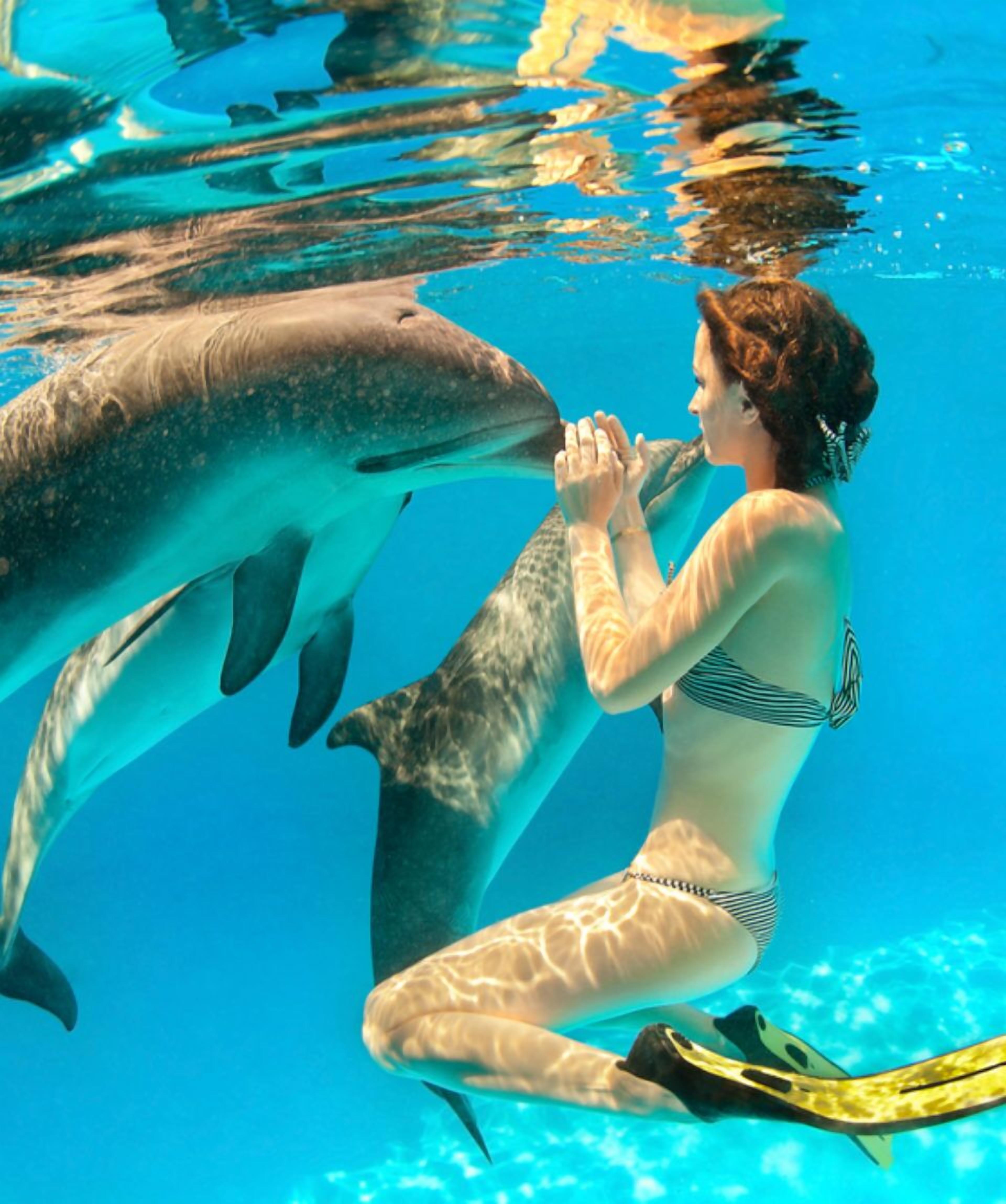 Foto - Golden Rod villa