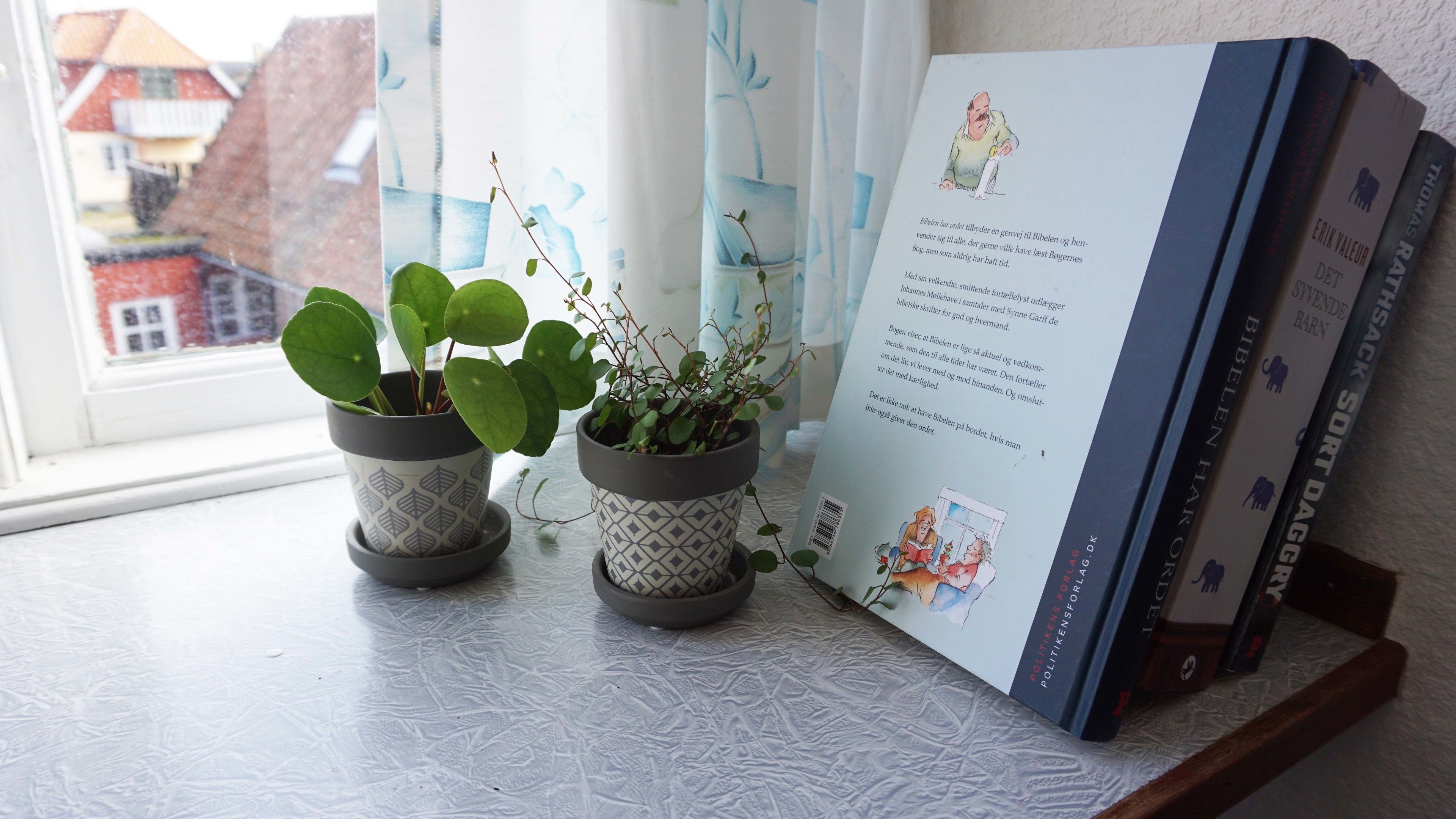 double room, 2 single beds | individually decorated, individually furnished, blackout curtains