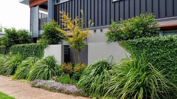 A modern residential building with a grey facade, a small garden with various plants, and a pathway leading to the entrance. - Laguna Apartments (Toowoomba)