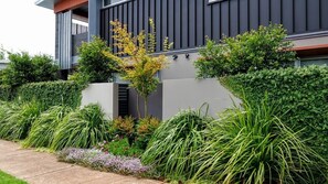 A modern residential building with a grey facade, a small garden with various plants, and a pathway leading to the entrance. - Laguna Apartments (Toowoomba)
