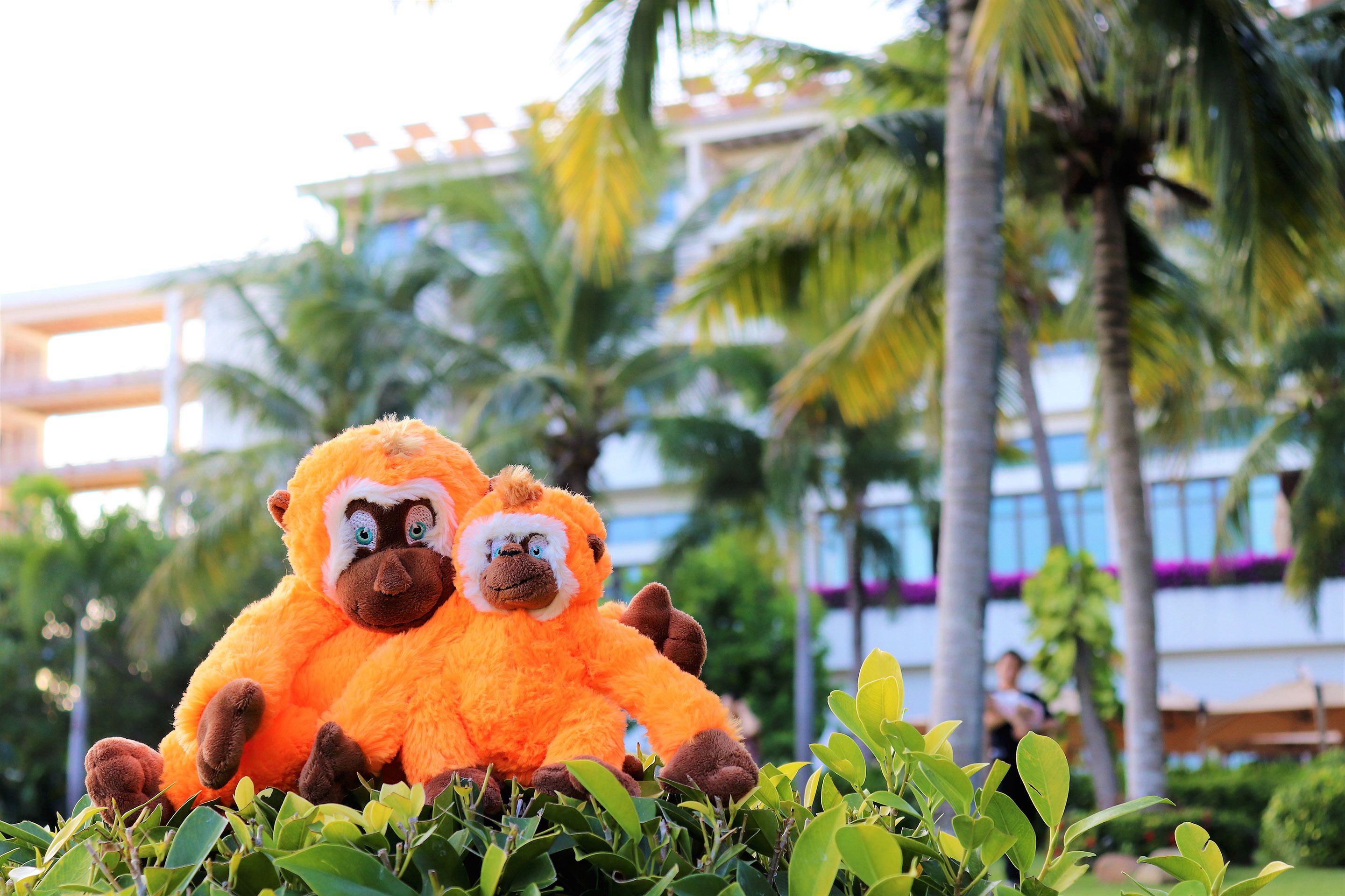 children’s activities