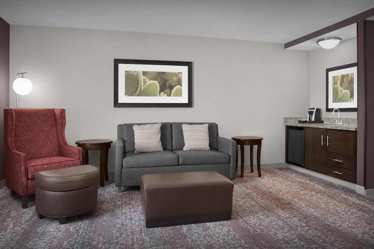 Una sala de estar con un sofá gris, un sillón rojo, un reposapiés marrón y una pequeña mesa. Hay un cuadro enmarcado en la pared y una zona de cocina con armarios y una encimera.