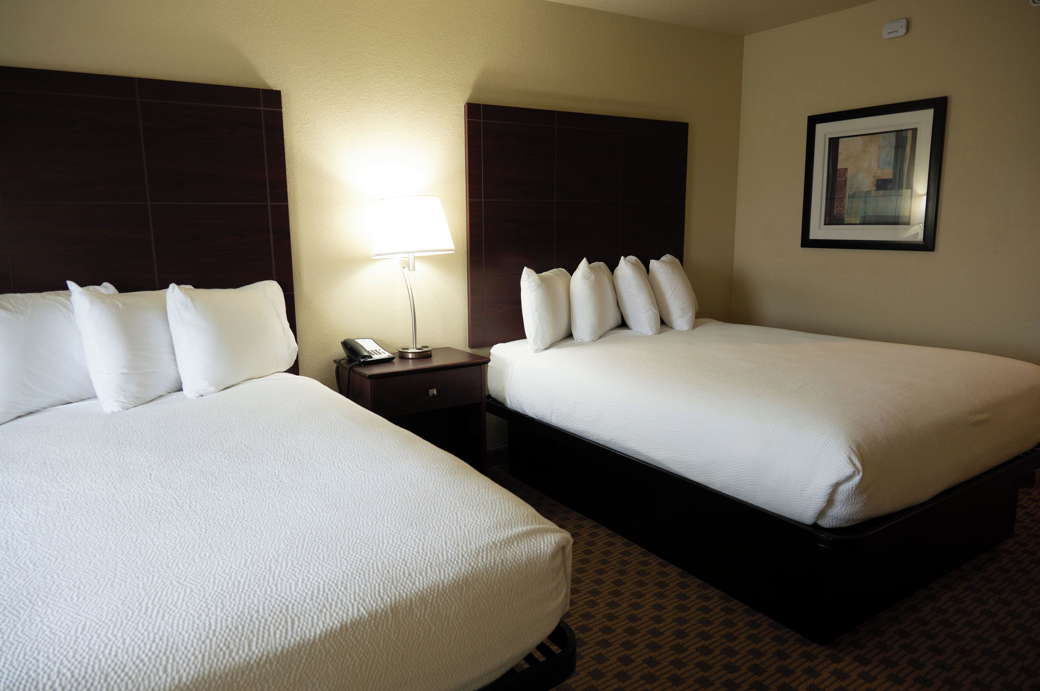 Two single beds with white linens, a nightstand with a lamp, and a framed picture on the wall.