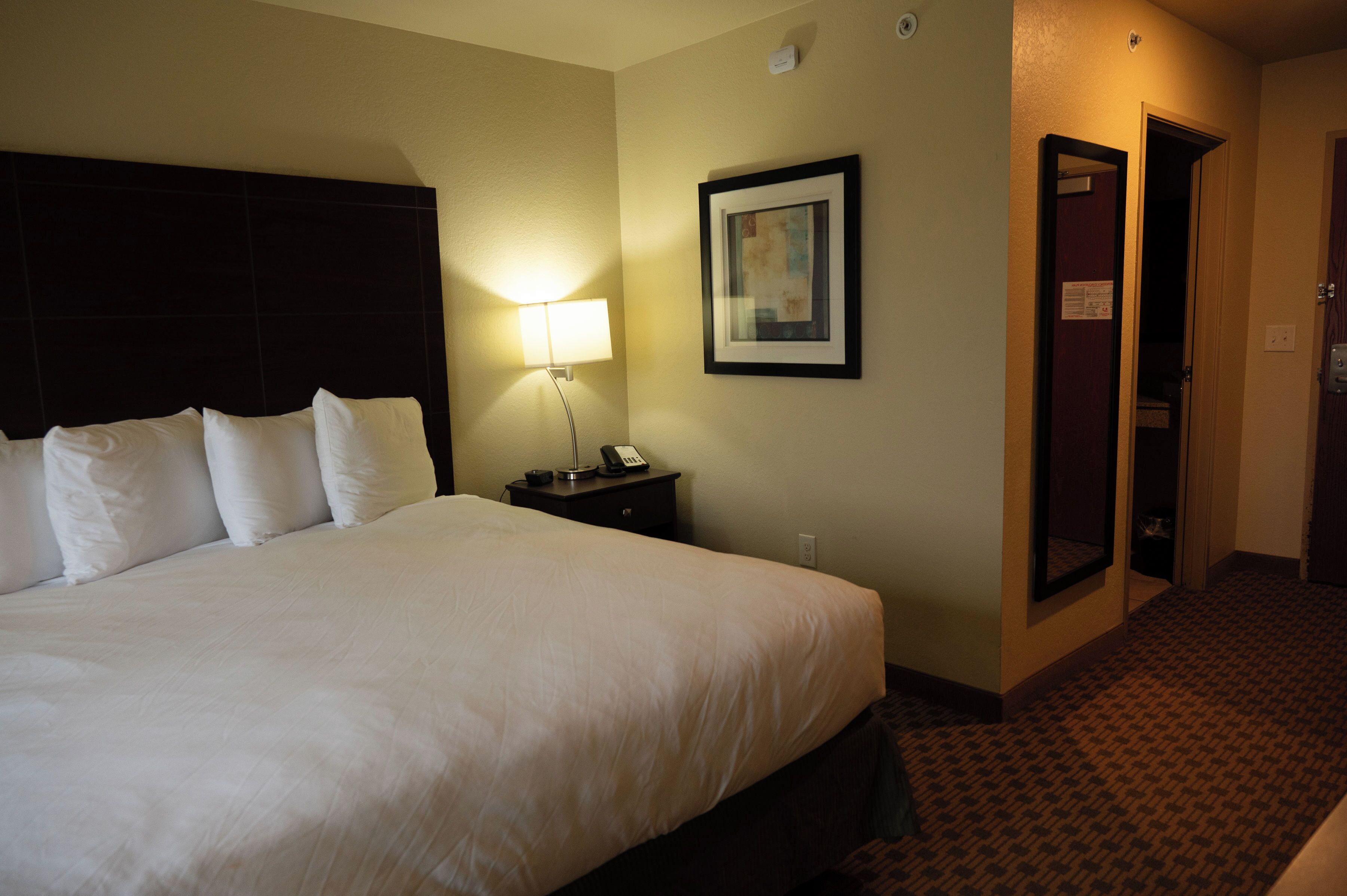A hotel room with a large bed, a bedside lamp, a framed picture on the wall, and a door leading to another room.