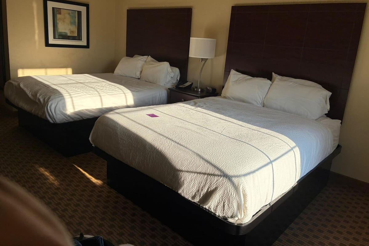 Premium bedding, desk, laptop workspace, blackout curtains