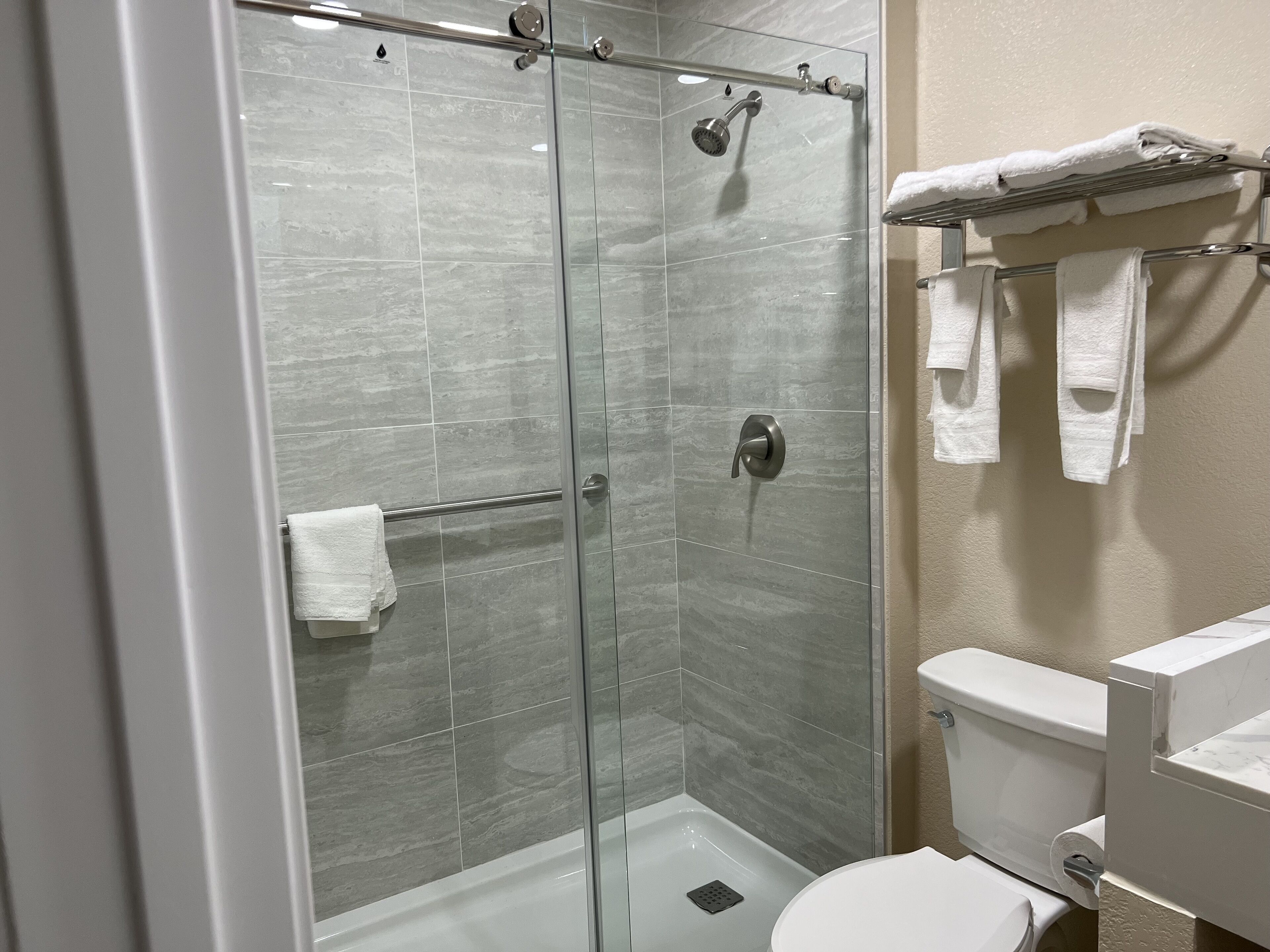 Une salle de bain moderne avec une douche à parois de verre, des toilettes et un porte-serviettes.