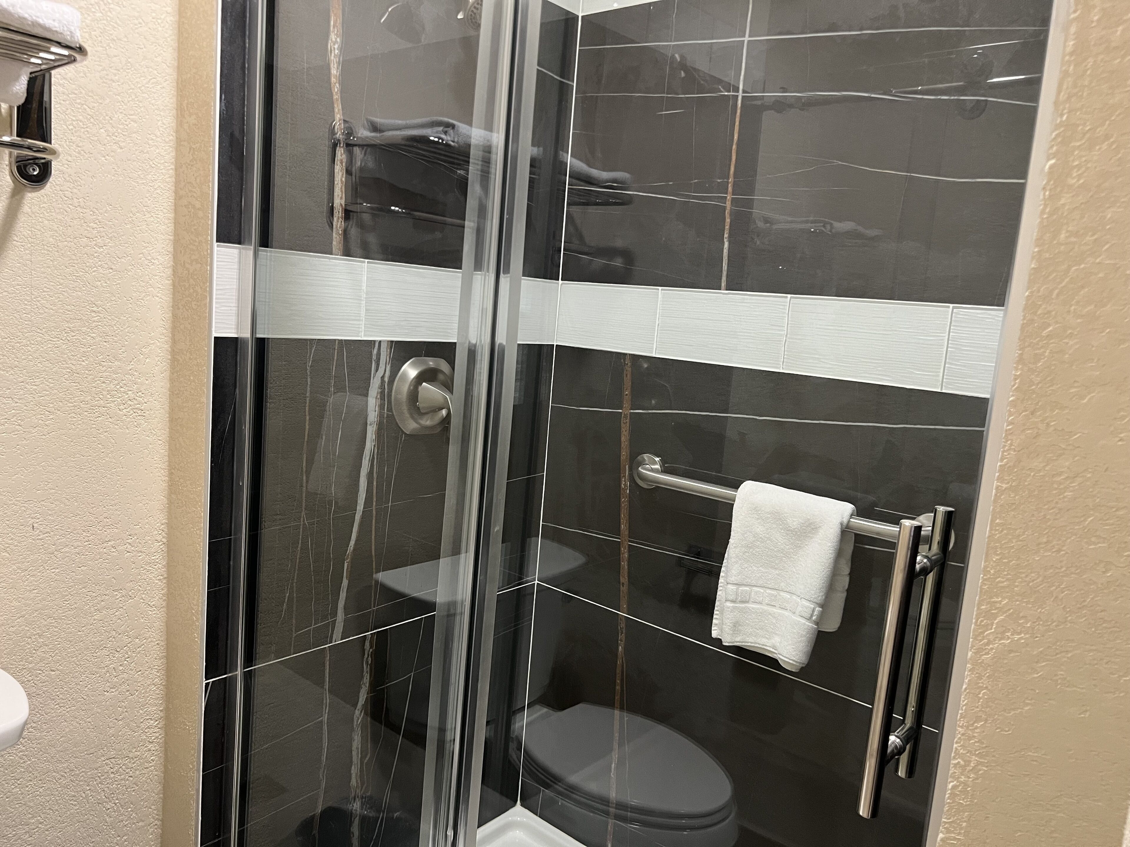 Cabina de ducha con paredes de vidrio, un inodoro, un perchero y un pasamanos.