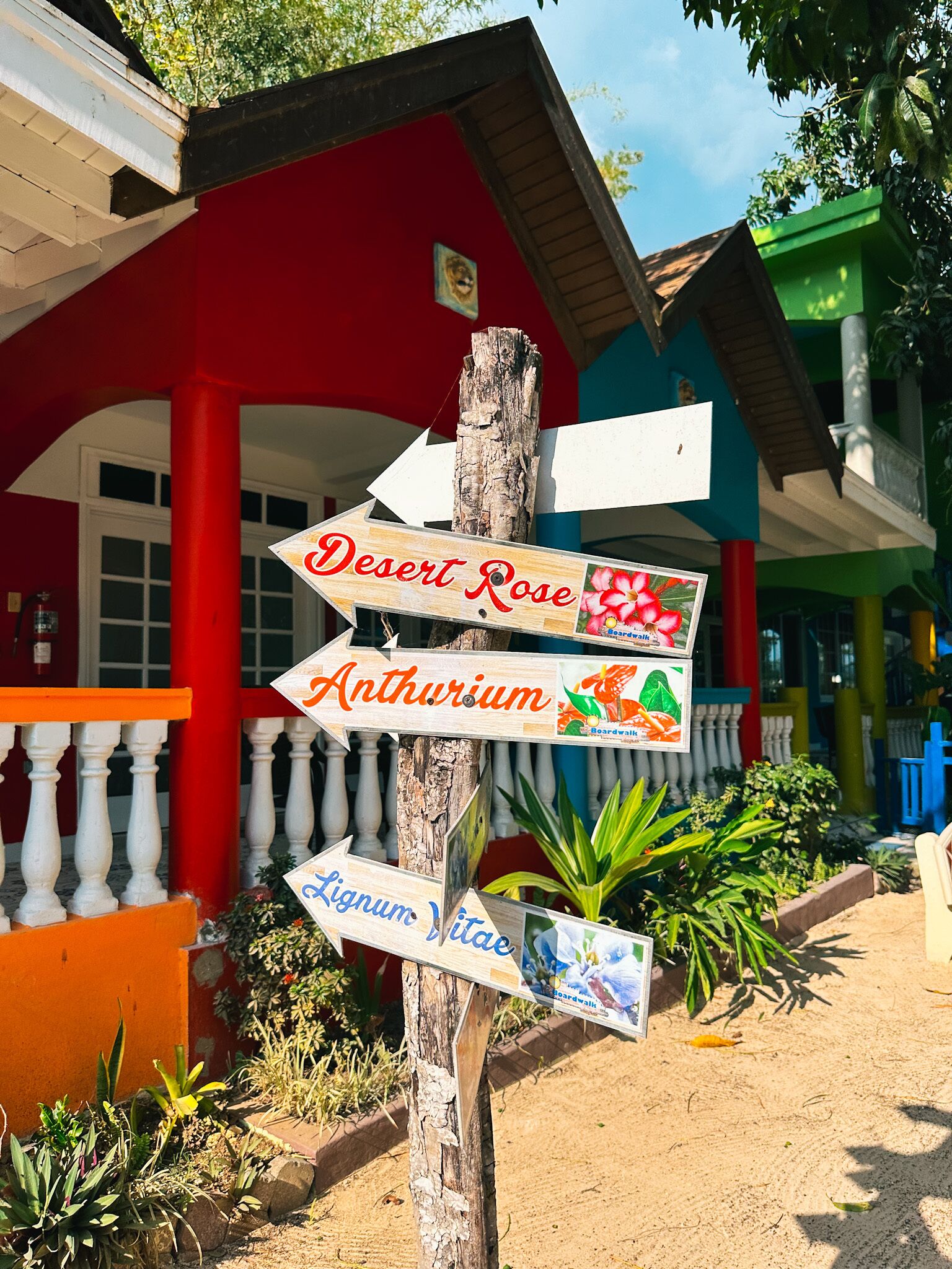 豪華客房, 1 張特大雙人床, 冰箱和微波爐, 海濱 | 起居區 | 32-吋電視，提供付費頻道