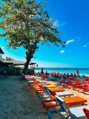 Une plage avec des chaises longues colorées et un grand arbre qui offre de l’ombre.