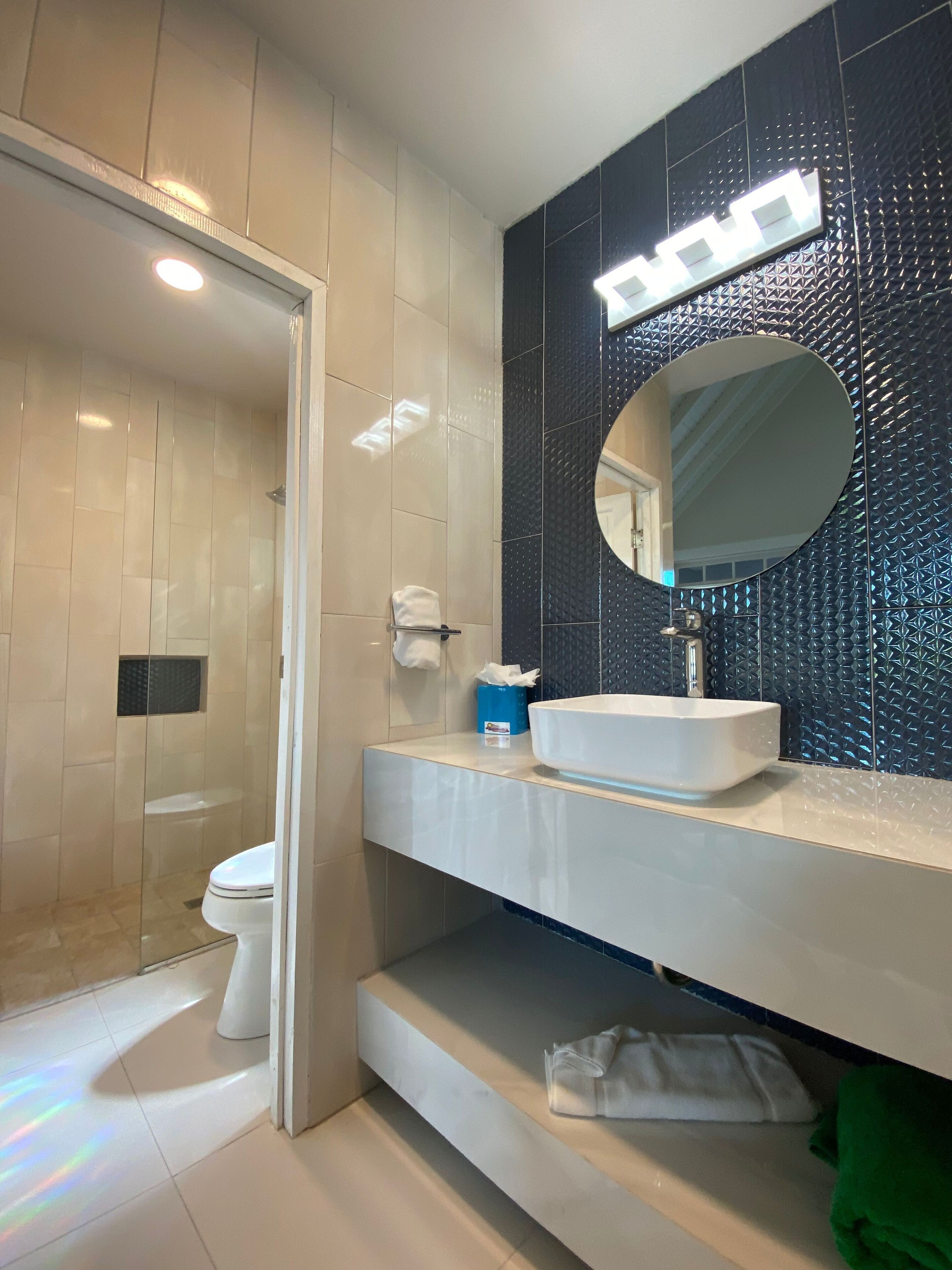 shower, free toiletries, hair dryer, towels