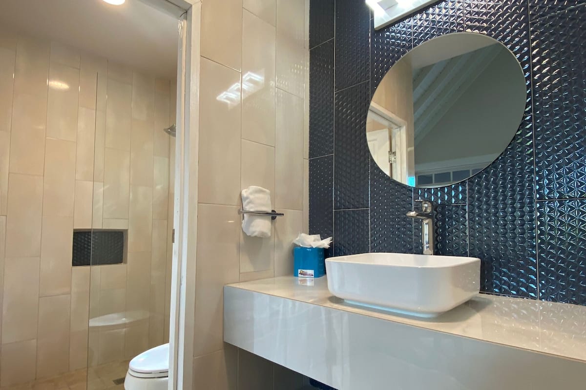 shower, free toiletries, hair dryer, towels