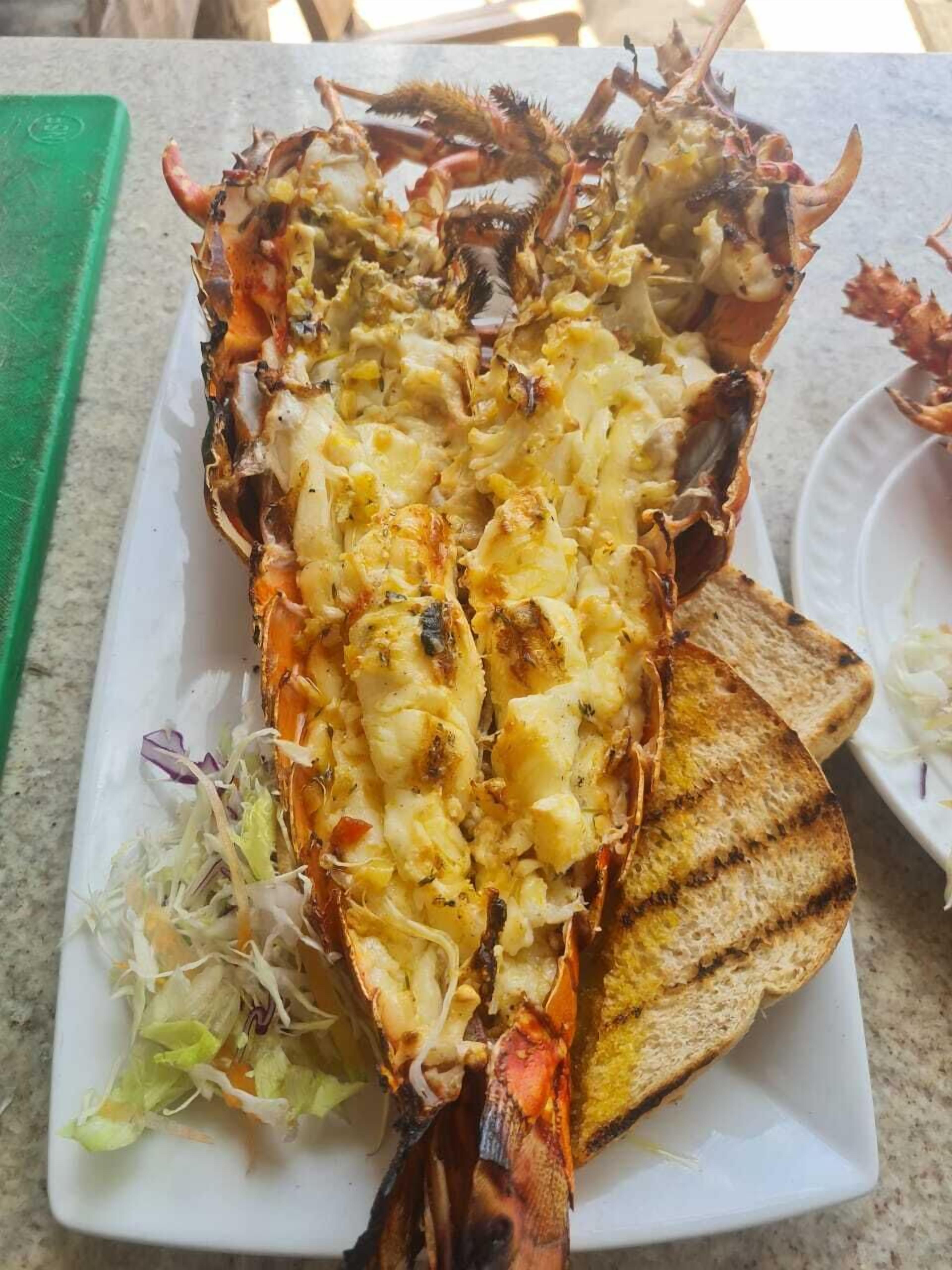 A lobster dish with grilled bread and a side salad on a white plate.