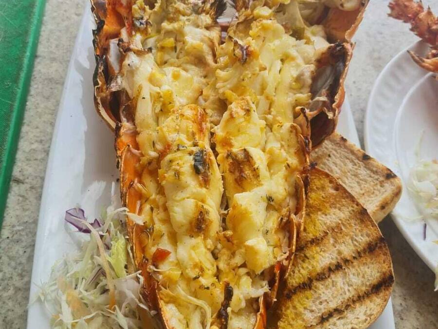 A lobster dish with grilled bread and a side salad on a white plate.