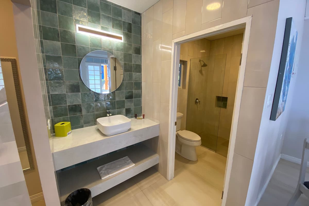 shower, free toiletries, hair dryer, towels
