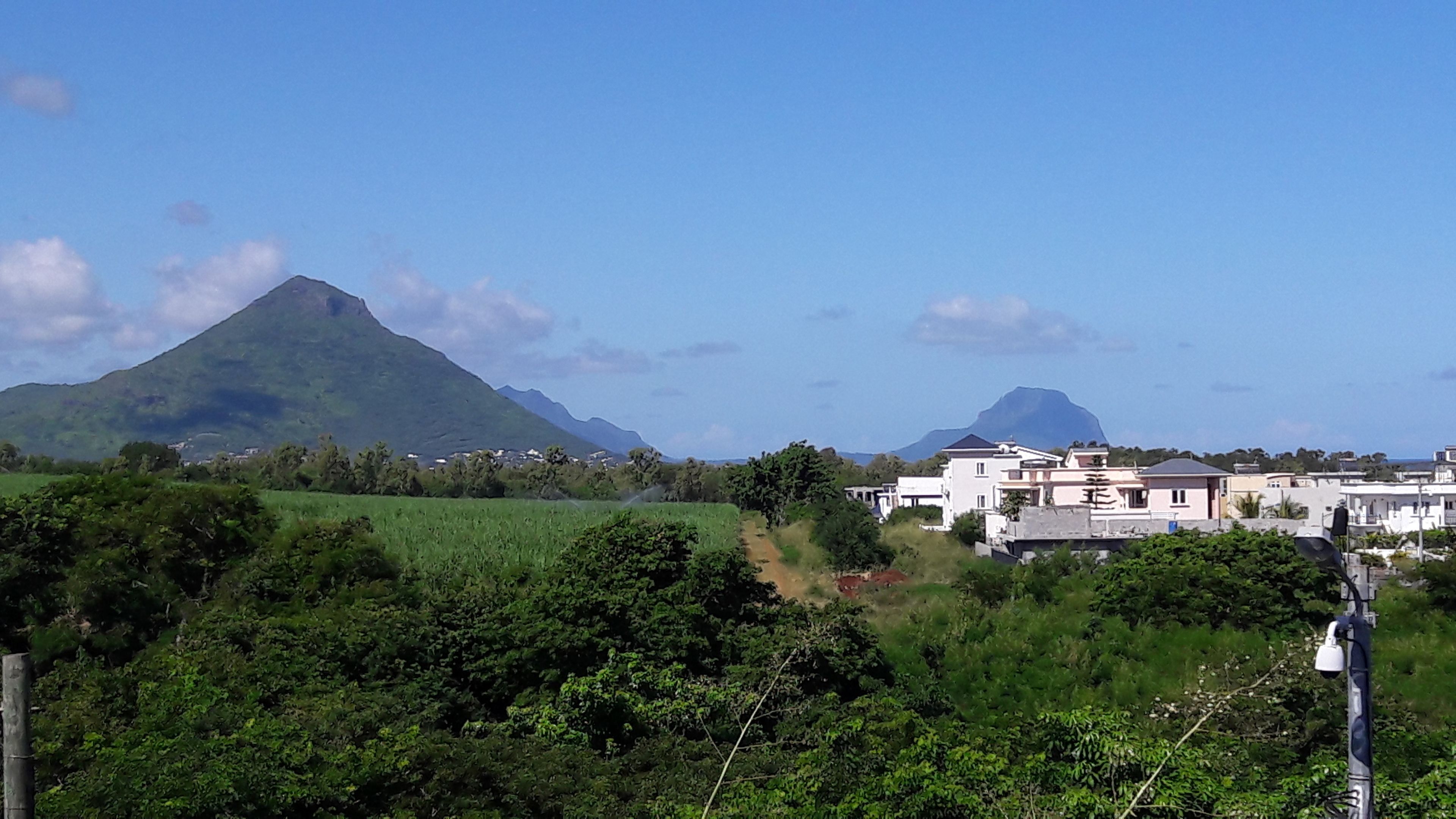 Ein Wohngebiet mit Häusern und einem Berg im Hintergrund.