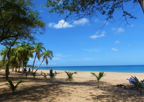 A beach with palm trees, people relaxing, and a clear blue sky. - Rose des Vents (Deshaies)