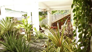 Un jardín con diversas plantas y una escalera.