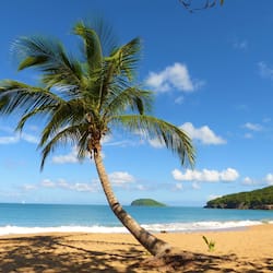 Beach nearby, sailing, kayaking, fishing