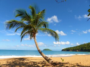 Gần bãi biển, thuyền buồm, chèo thuyền kayak, câu cá 