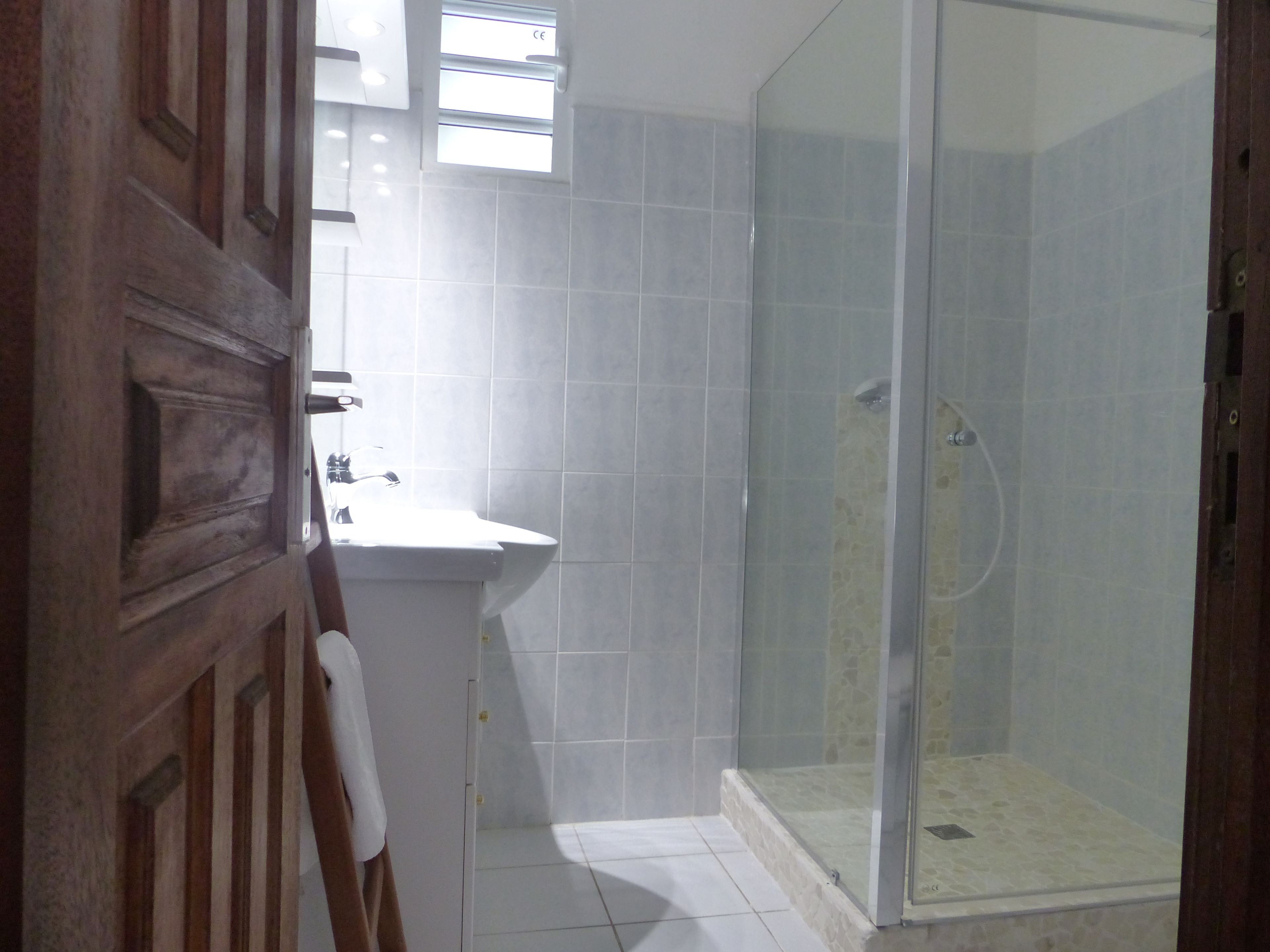 Une salle de bain avec une douche, un lavabo et une porte en bois.