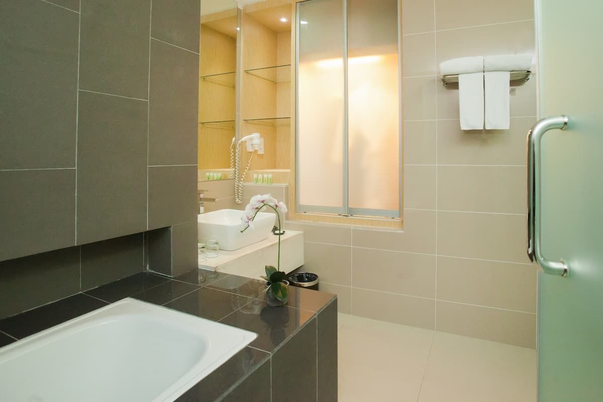 separate bathtub and shower, free toiletries, hair dryer, bathrobes
