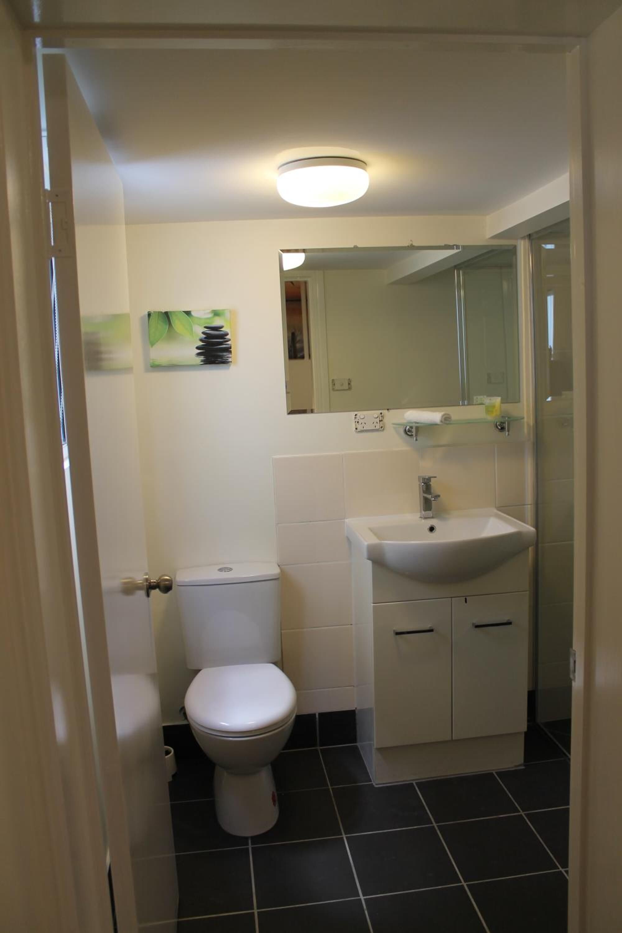 Une salle de bain avec des toilettes, un lavabo et un miroir.