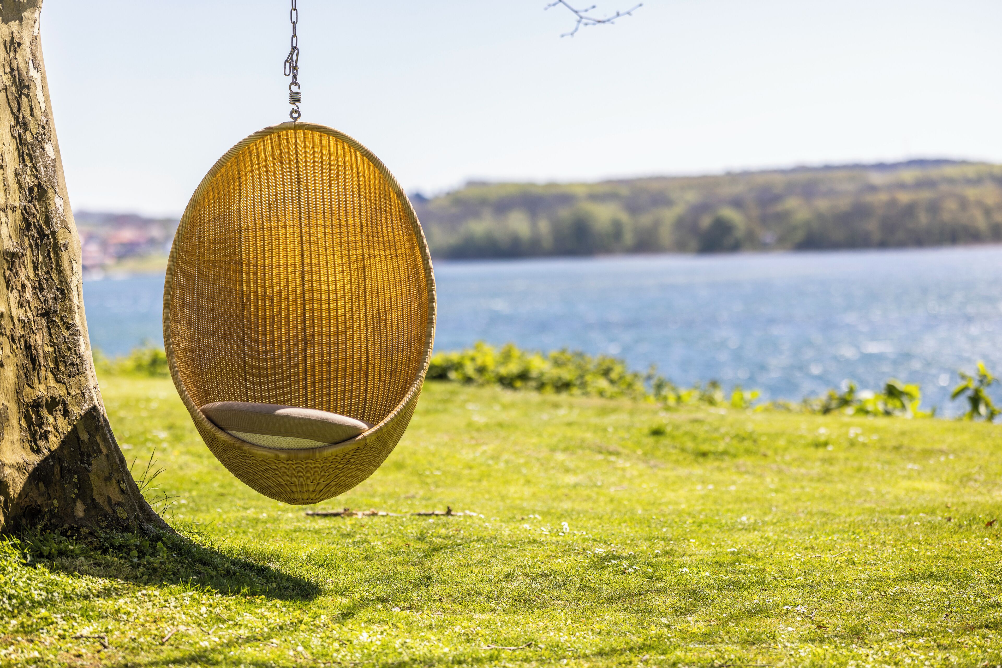 Una silla colgante de mimbre suspendida de un árbol, con vista a un lago y un área verde al frente.