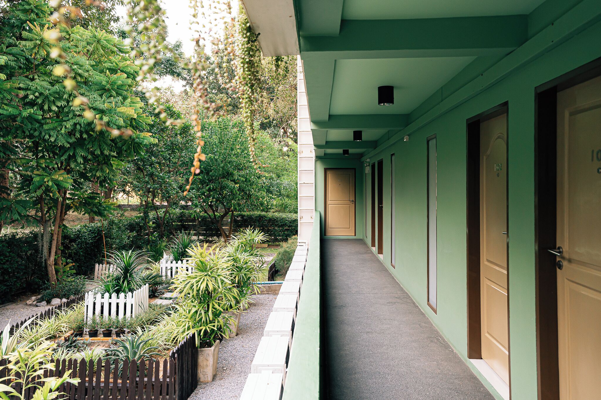 Un pasillo con puertas a un lado y un jardín con plantas y una cerca al otro.