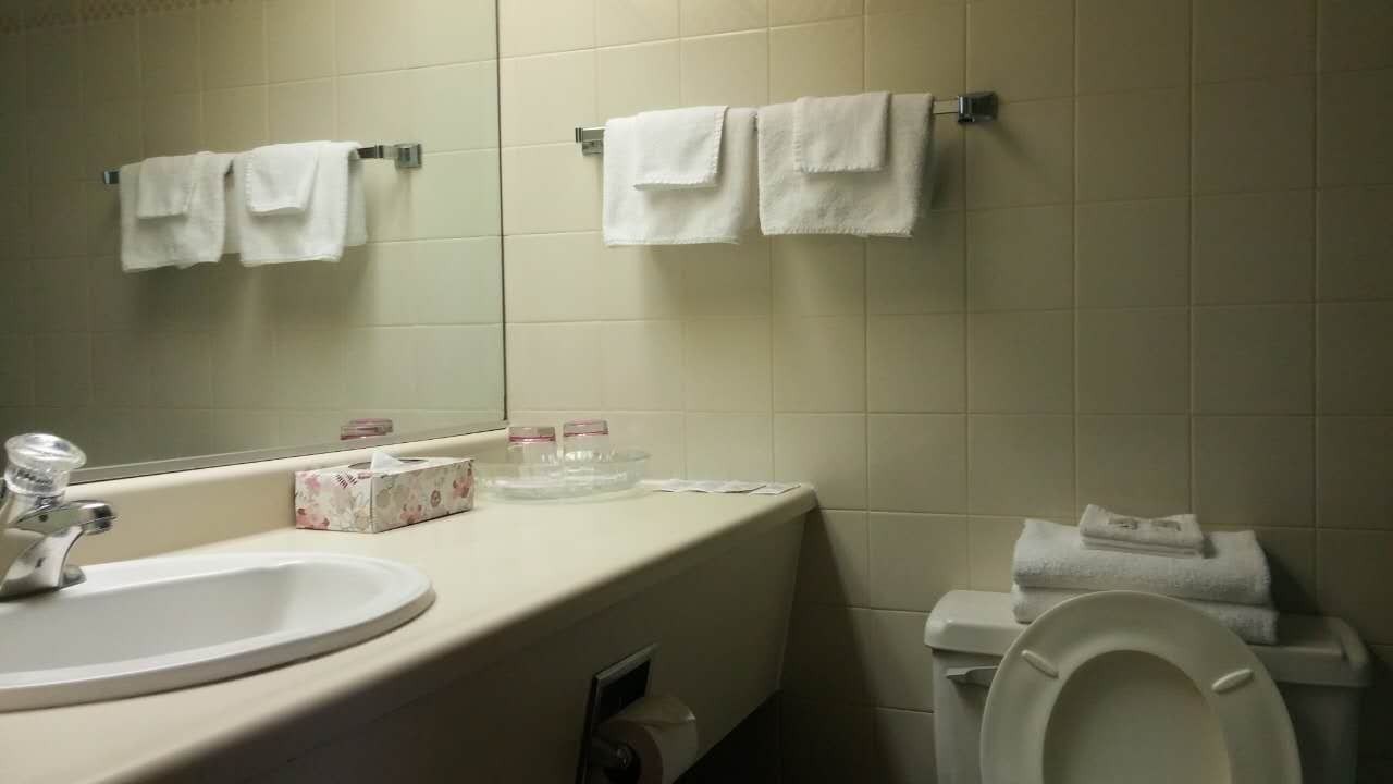 A bathroom with a sink, mirror, and toilet. There are towels hanging on the wall and a box of tissues on the counter.