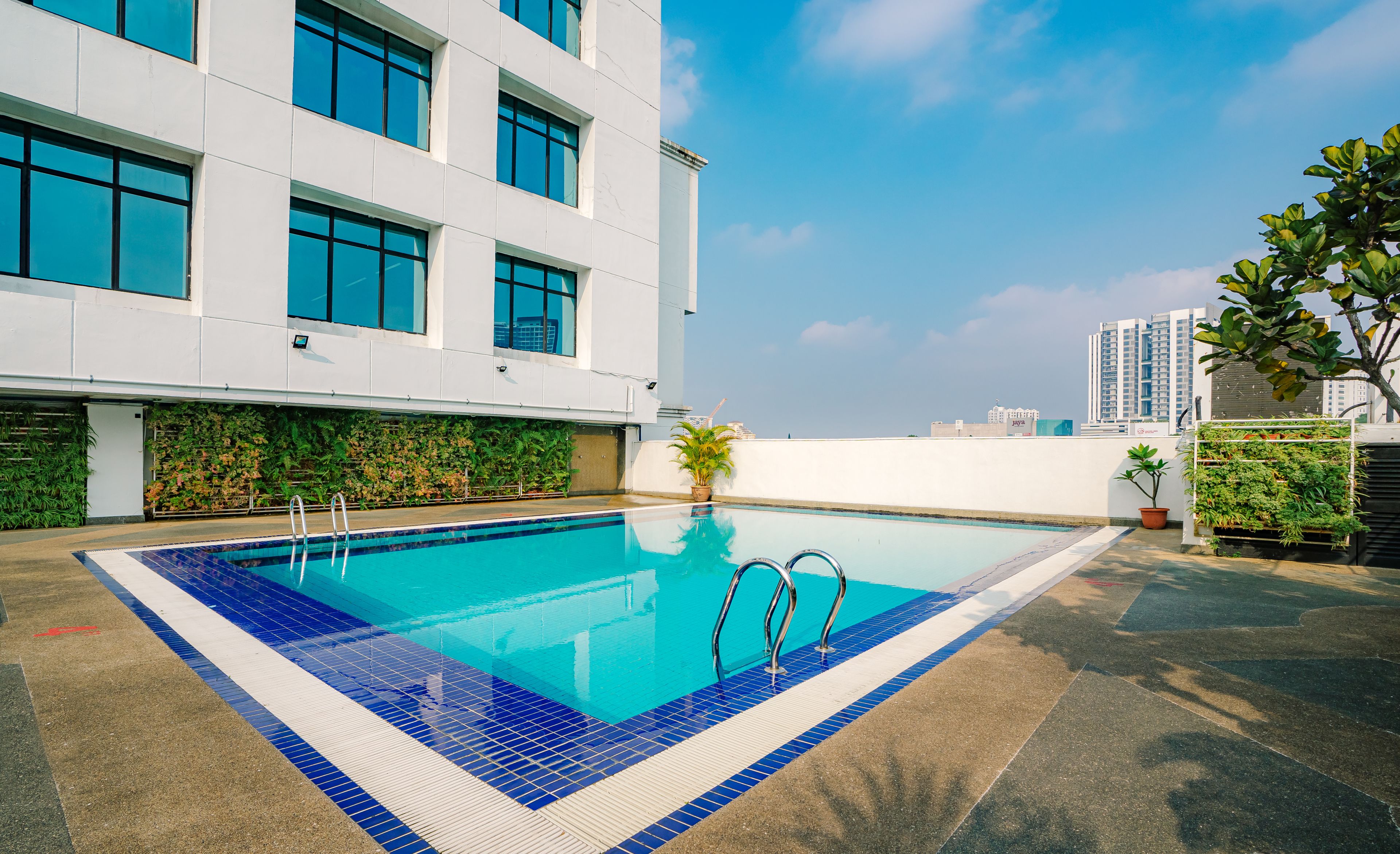 Una piscina en la azotea con agua azul cristalina, rodeada por un edificio blanco con ventanales grandes y una pared verde.