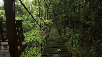 Rumah Pohon | Meja kerja