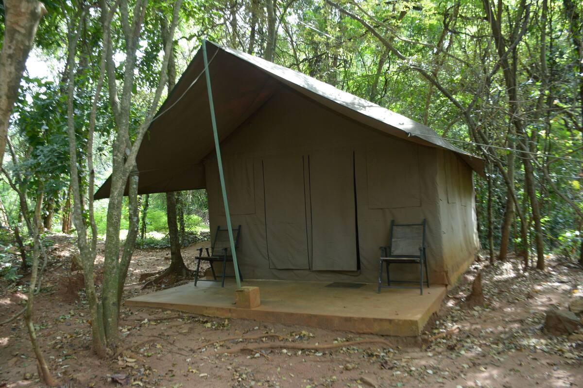 Luxury Tent, 1 Bedroom | View from room
