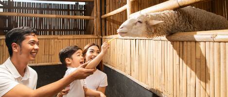 Aktiviteter for barn