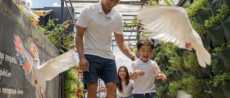 A man and children interacting with pigeons in a covered outdoor area with a glass ceiling and greenery.