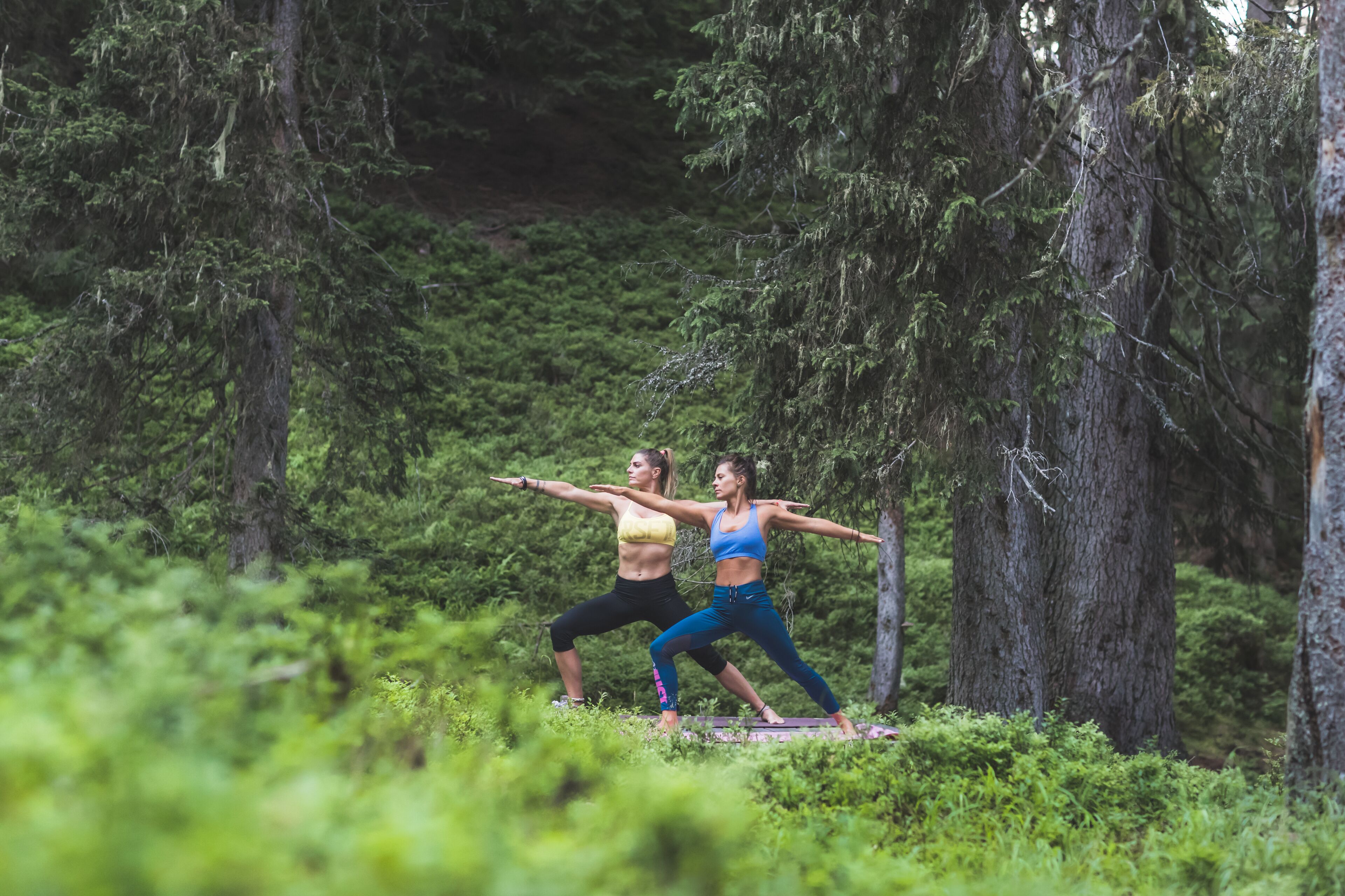 Dos personas practicando yoga en un área boscosa.