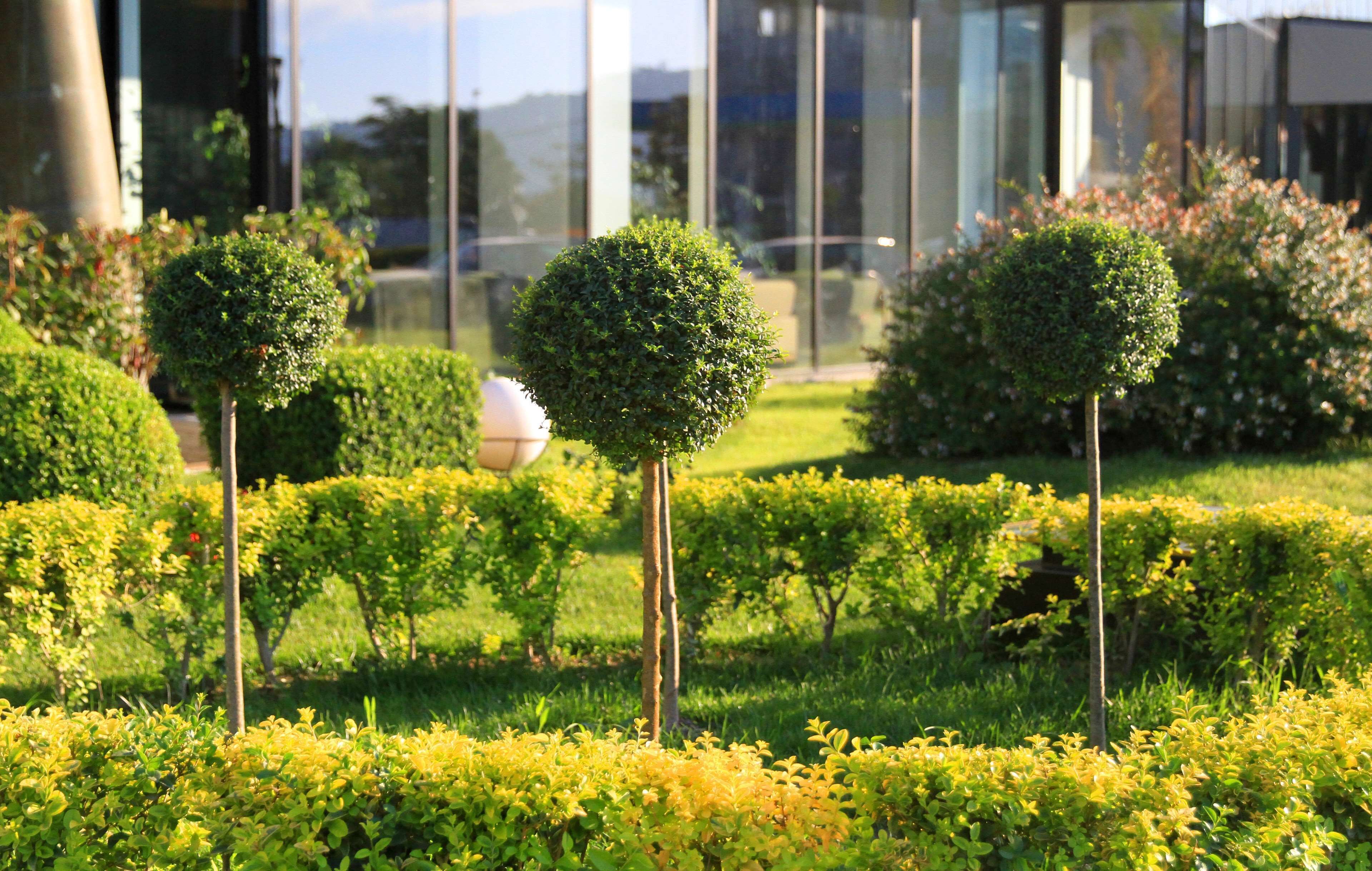 Foto - Best Western Premier Ark Hotel