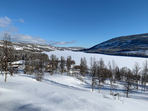 Ski