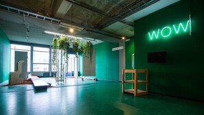 An interior space with a green wall, a neon 'WOW' sign, a wooden shelf, and hanging plants. - WOW Hostel Amsterdam (Amsterdam)