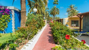 A pathway lined with palm trees and vibrant flowers, leading to a building with a blue facade and a red-tiled entrance.