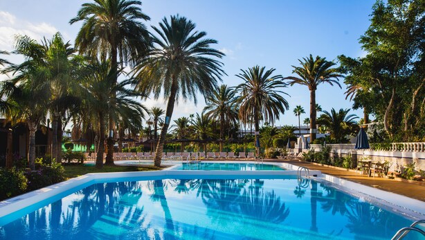 A swimming pool surrounded by palm trees and lounge chairs, with a clear sky above.