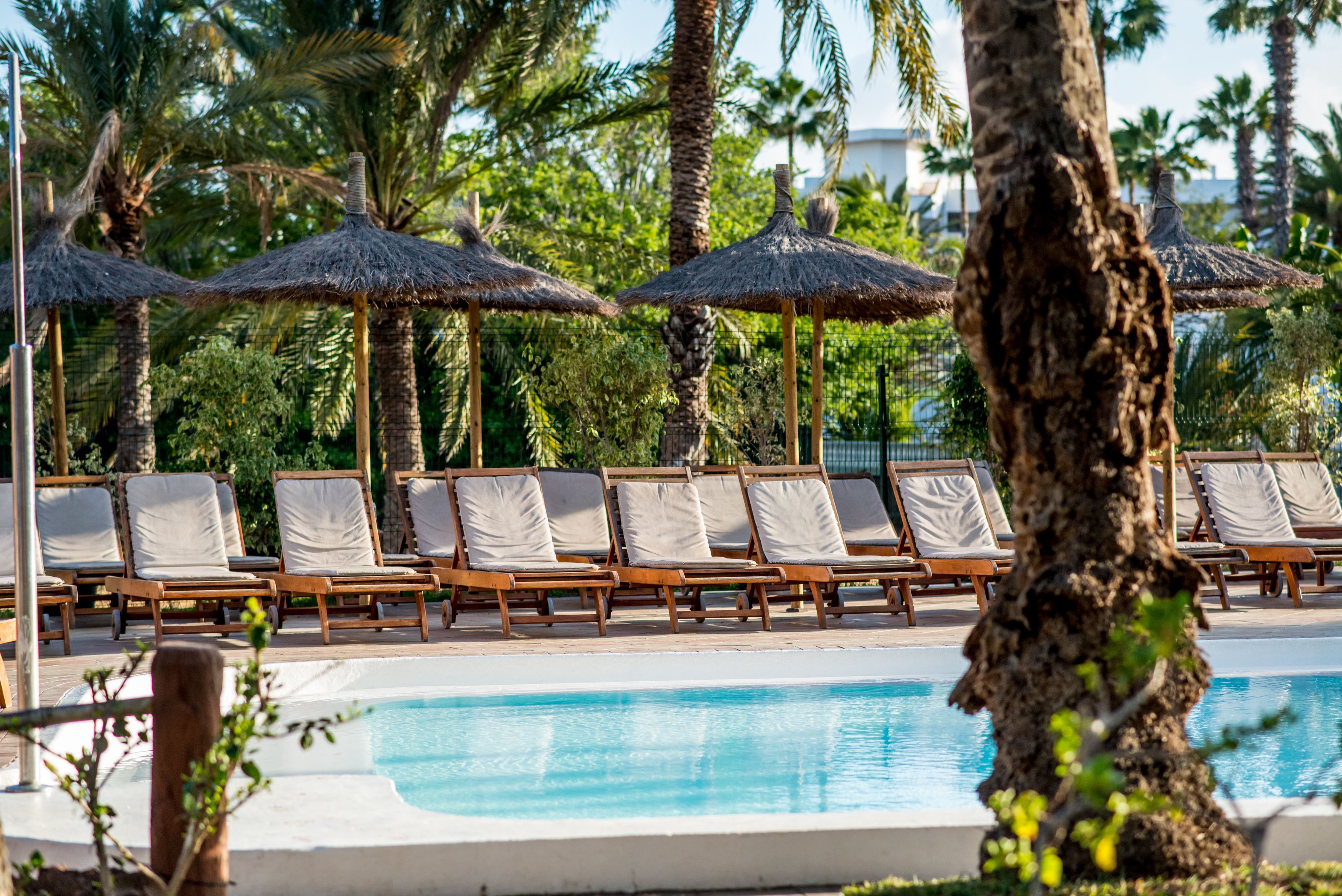 outdoor pool, pool loungers