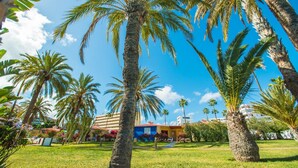 A tropical garden with palm trees and a building with a blue roof in the background.