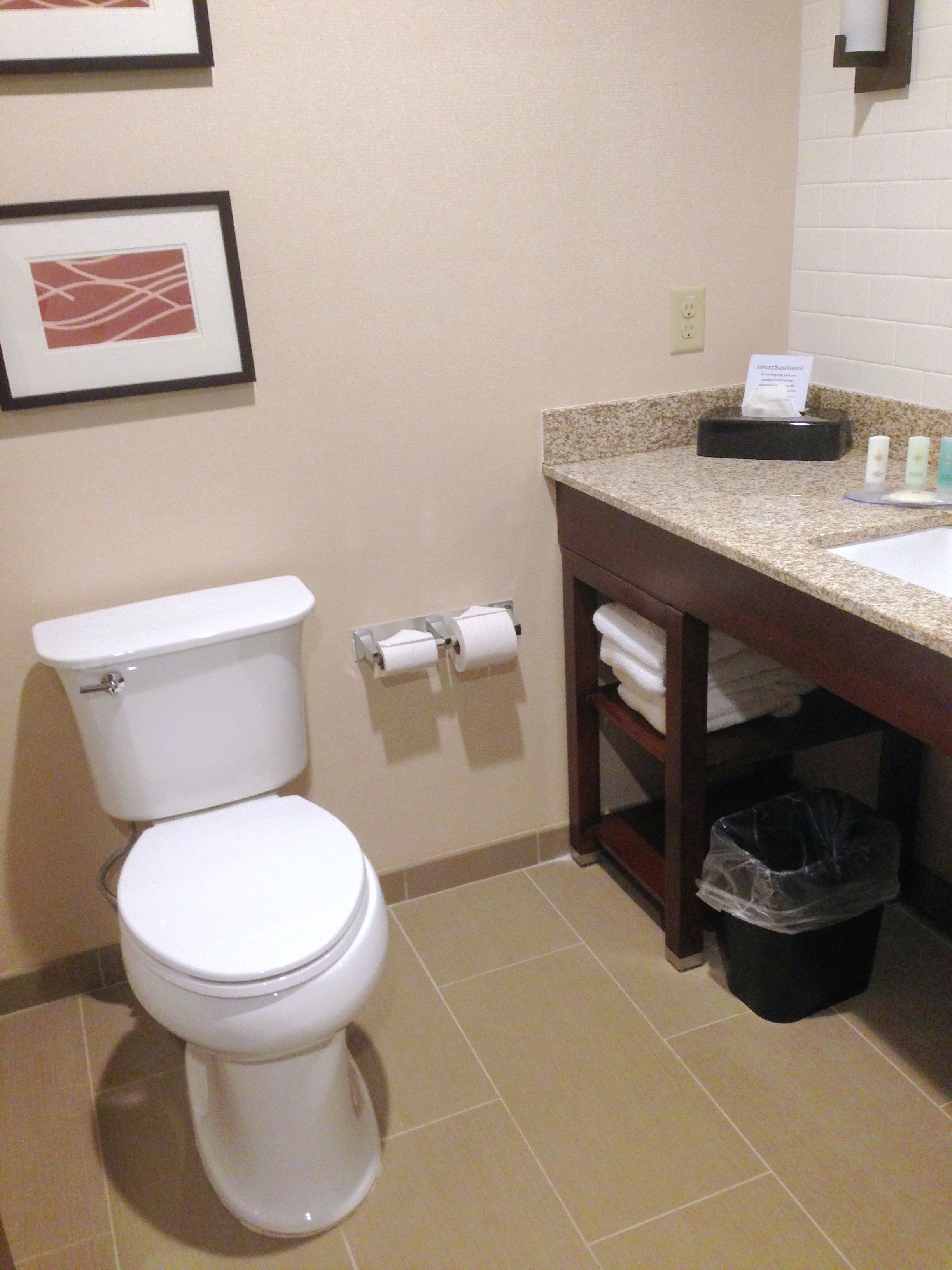 A bathroom with a toilet, a sink, a trash can, and a framed picture on the wall.