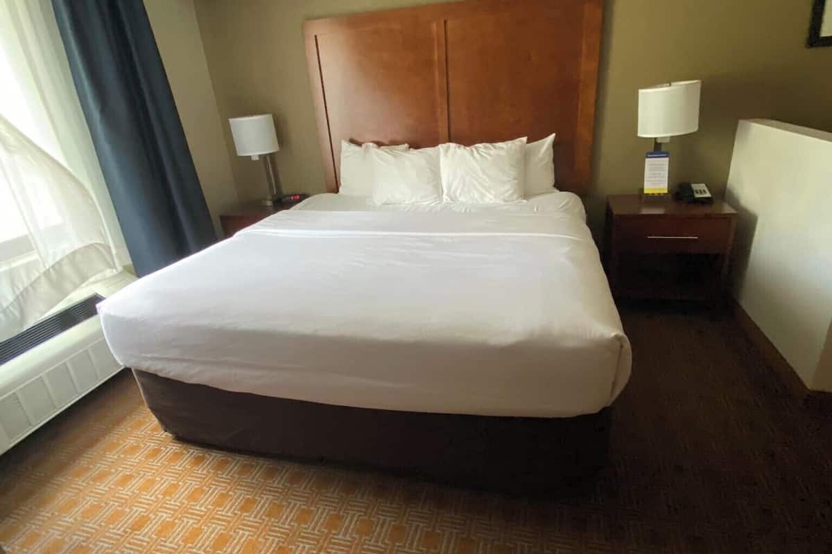 suite, 1 king bed with sofa bed, non smoking | desk, blackout curtains, iron/ironing board, free wifi