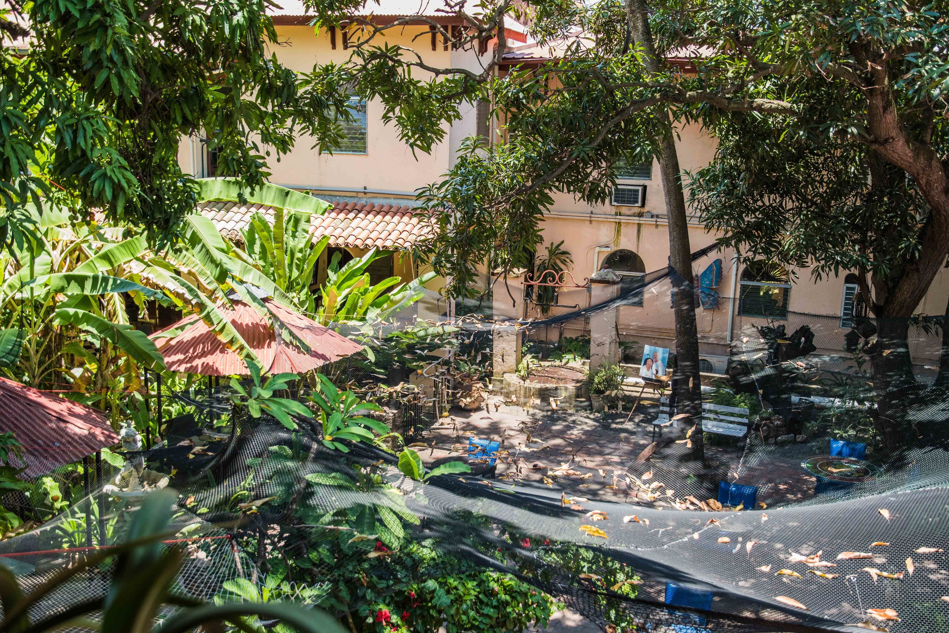 Un cortile con una fontana, circondato da vegetazione rigogliosa e un edificio con tetto in tegole.