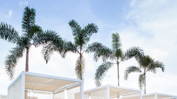 A poolside area with covered seating and palm trees. - Sortis Hotel, Spa & Casino, Autograph Collection by Marriott (Panama City)