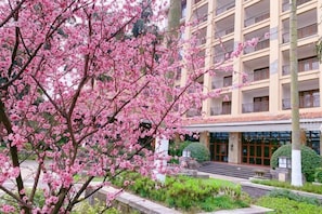 庭園