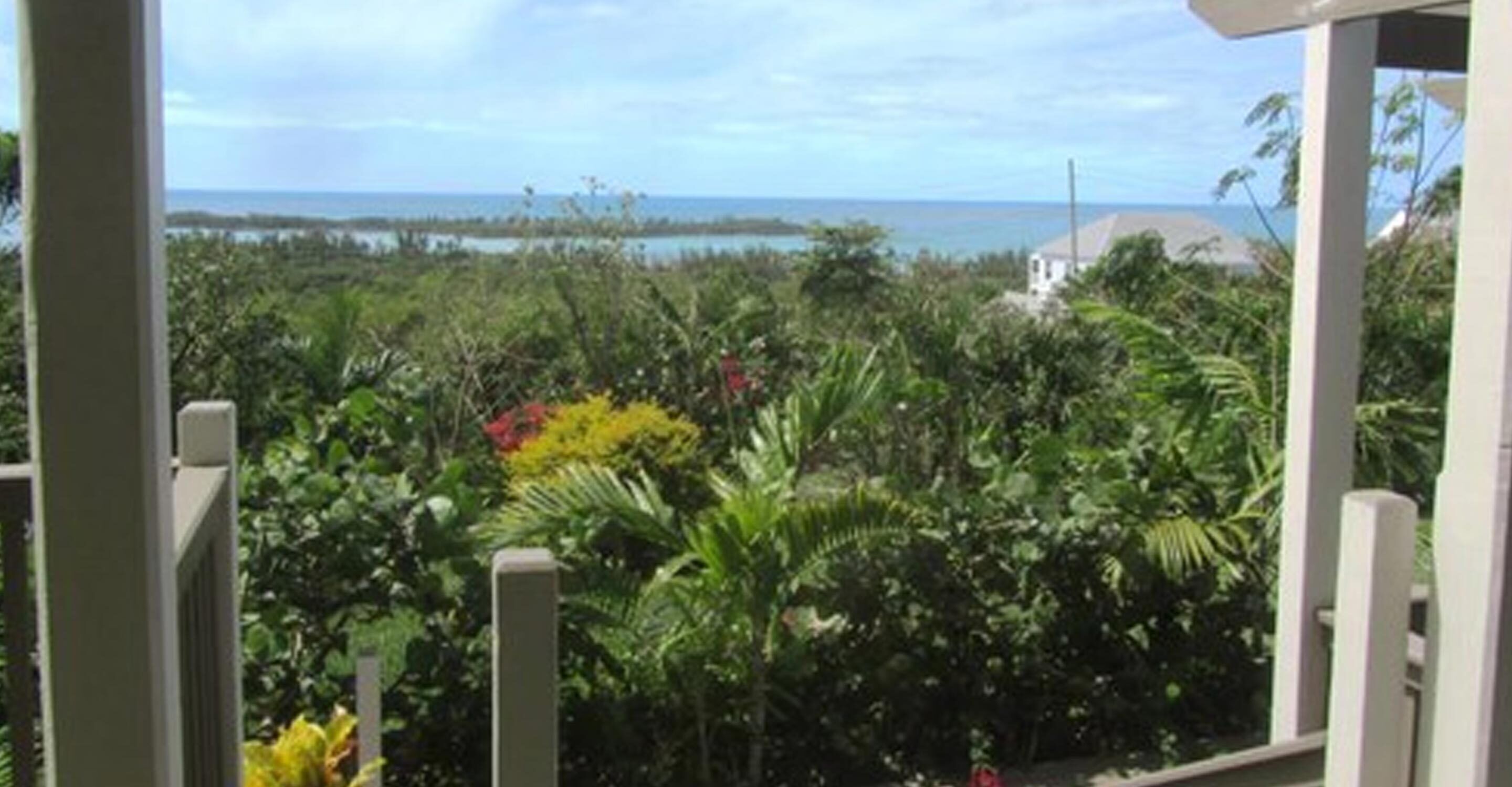 Blick auf einen üppigen Garten mit verschiedenen tropischen Pflanzen und im Hintergrund das Meer.